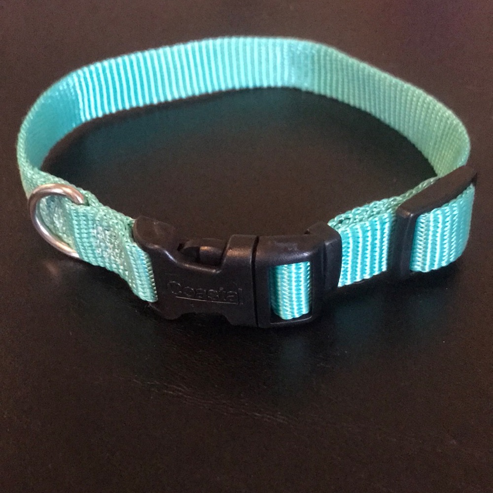 Coastal teal dog collar
